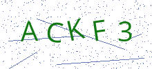 Bot Check