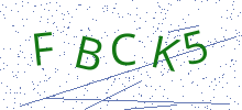 Bot Check