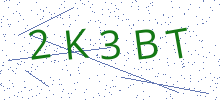 Bot Check