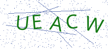 Bot Check