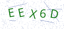 Bot Check