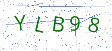 Bot Check