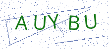 Bot Check