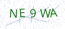 Bot Check