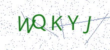 Bot Check