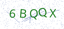 Bot Check