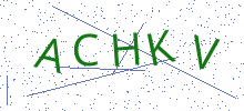 Bot Check
