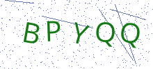 Bot Check