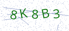Bot Check