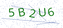 Bot Check