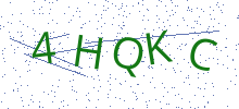 Bot Check
