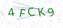 Bot Check