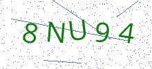 Bot Check