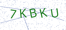 Bot Check