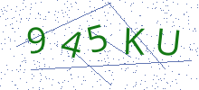 Bot Check
