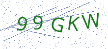 Bot Check