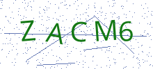 Bot Check