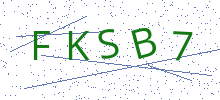 Bot Check