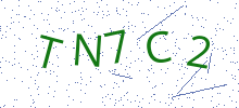 Bot Check