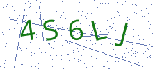 Bot Check