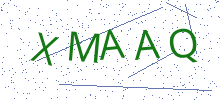 Bot Check