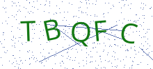 Bot Check