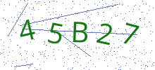 Bot Check