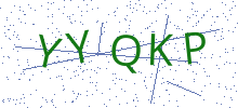 Bot Check