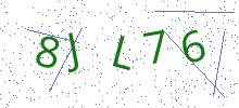Bot Check