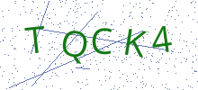 Bot Check