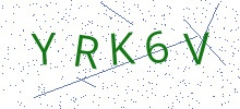 Bot Check