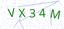 Bot Check