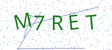 Bot Check