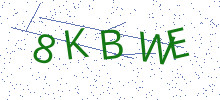 Bot Check