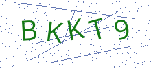 Bot Check