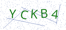 Bot Check