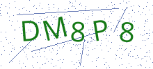 Bot Check