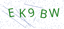 Bot Check