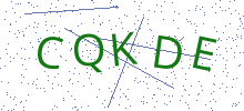 Bot Check
