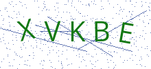 Bot Check