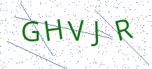 Bot Check