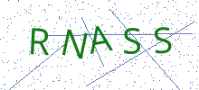 Bot Check