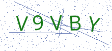 Bot Check