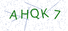 Bot Check