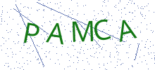 Bot Check