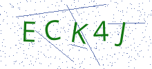 Bot Check