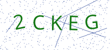 Bot Check