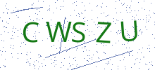 Bot Check