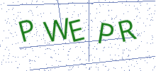 Bot Check