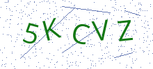 Bot Check